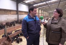 Entrevista a Gonzalo Agüera, socio de la granja caprina Agüera de Corniella (Tineo)