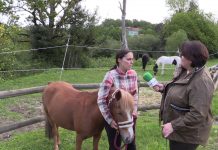 Entrevista a Ana Riestra, monitora del Centro Deportivo El Forcón