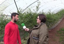Entrevista a Adrián García Villar, de García-Villar Berries SL de Villaviciosa
