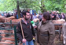 Entrevista a Gonzalo Suero, teniente de alcalde de Cangas de Onís