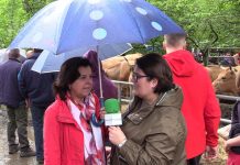 Entrevista a María Jesús Álvarez, consejera de Desarrollo Rural y Recursos Naturales