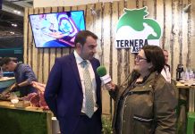 Entrevista a Rubén Fdez., presidente de IGP Ternera Asturiana