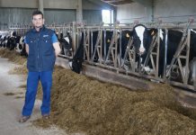 Ganadería Casa Cueto de Manzaneda (Gozón)