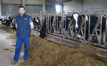 Ganadería Casa Cueto de Manzaneda (Gozón)