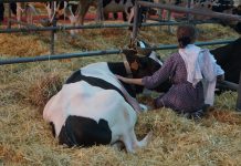 Asturias exige que los fondos liberados de la próxima PAC financien actuaciones estratégicas