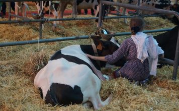 Asturias exige que los fondos liberados de la próxima PAC financien actuaciones estratégicas