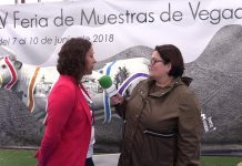 Entrevista a Alba Álvarez, concejala de Ferias y Festejos de Vegadeo