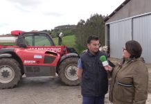 Ganadería Casa Cueto de Manzaneda (Gozón)