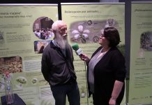 Entrevista a Felix Mejica, de la Asociación para la Defensa de las Abejas en el Principado de Asturias