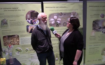 Entrevista a Felix Mejica, de la Asociación para la Defensa de las Abejas en el Principado de Asturias