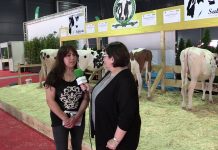 Entrevista a Josefina Vega de la Ganadería El Pedregal de Carreño