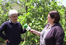 Entrevista a Enrique Dapena, responsable del programa de Fruticultura del SERIDA