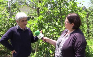 Entrevista a Enrique Dapena, responsable del programa de Fruticultura del SERIDA