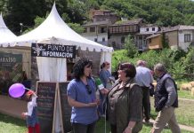 Entrevista a Begoña Cueto, concejala de Turismo y Desarrollo Local de Cangas del Narcea