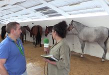 Entrevista a Felipe Gómez, participante en el concurso PRE de Tineo