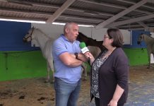 Entrevista a Agustín Menéndez, presidente de EQTineo