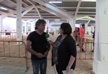 Entrevista a Corsino Morán, propietario de la yegua ganadora del Concurso PRE de Tineo
