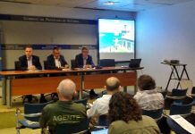 Las comunidades de la cordillera Cantábrica contabilizaron 41 osas con 73 crías en 2017