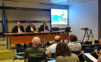 Las comunidades de la cordillera Cantábrica contabilizaron 41 osas con 73 crías en 2017