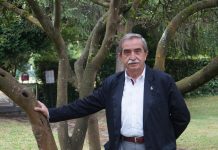 El verano asturiano le sienta bien a la hípica