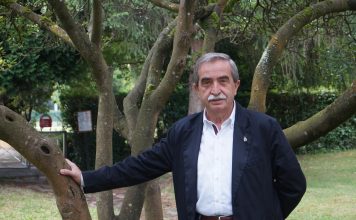 El verano asturiano le sienta bien a la hípica