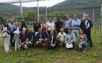 Los valles del Nalón y Narcea, óptimos para el cultivo del kiwi