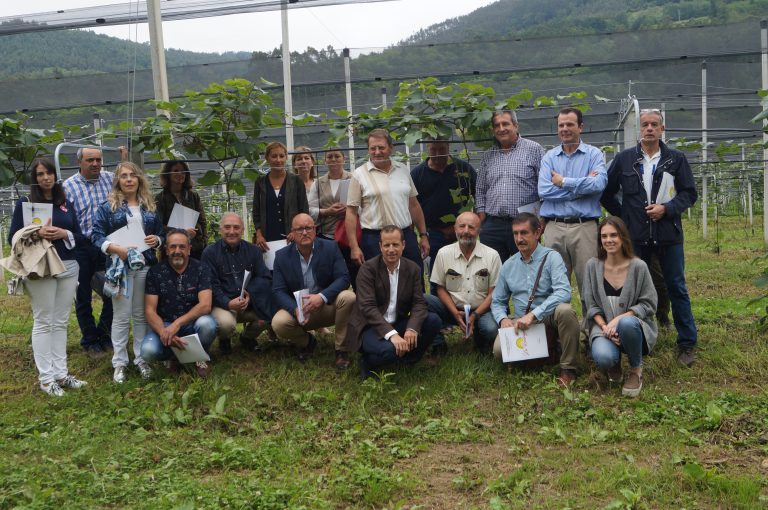 Los valles del Nalón y Narcea, óptimos para el cultivo del kiwi