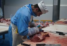 El Matadero Central de Asturias abre mercado en el despiece de terneros a particulares