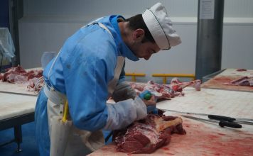 El Matadero Central de Asturias abre mercado en el despiece de terneros a particulares