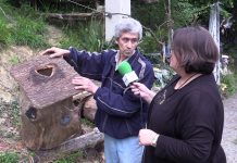 Entrevista al apicultor Simón Rodríguez que mantiene la tradición de los truébanos