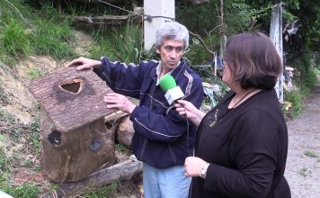 Entrevista al apicultor Simón Rodríguez que mantiene la tradición de los truébanos