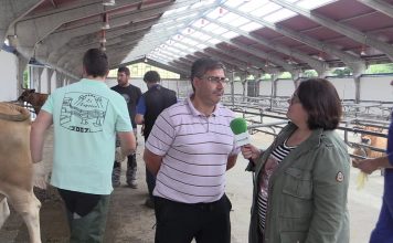 Entrevista a José Luis Martínez, ganadero de Las Cuadriellas (Cangas del Narcea)