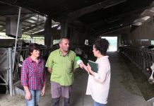 Ganadería Cachorro en Pelontre (Tineo)