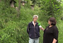 Entrevista a Simón Rodríguez en Pando (Belmonte de Miranda)
