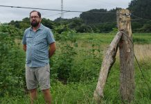 La faba con denominación de origen se instala en Riberas