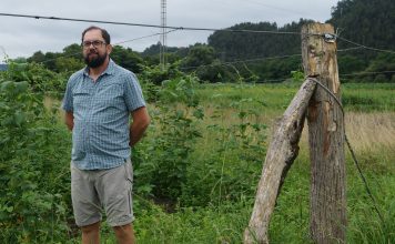 La faba con denominación de origen se instala en Riberas