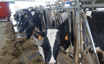 Desarrollo Rural destina 350.000 euros a asesorar a 3.300 explotaciones agrarias