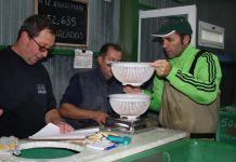 Las Mestas del Narcea, Medalla de Plata por su labor en la recuperación del salmón