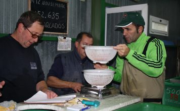 Las Mestas del Narcea, Medalla de Plata por su labor en la recuperación del salmón