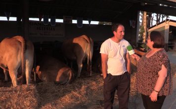 Entrevista a Adrián Iglesias, propietario del lote de establo de Asturiana de los Valles tipo normal