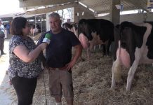Entrevista a Jesús Alonso, de Ganadería La Flor (Cantabria)
