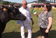 Entrevista a José Manuel Álvarez Coto, propietario de la vaca gran campeona de Frisona en Llanera