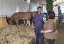 Entrevista a Alberto Tama, de Ganados Berto de Llanera