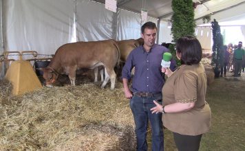 Entrevista a Alberto Tama, de Ganados Berto de Llanera