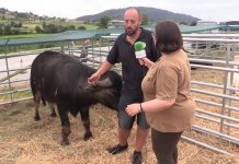 Entrevista a Luis Miguel Álvarez, del Núcleo Zoológico Tuernes El Pequeño