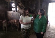 Entrevista a Amelia Fernández, alcaldesa de Carreño