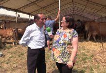 Entrevista a Gabino González, presidente de la Asociación de Ganaderos de Piedeloro