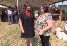 Entrevista a Amelia Fernández, alcaldesa de Carreño