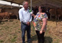 Entrevista a Ibo Álvarez, director general de Ganadería del Principado de Asturias