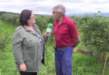 Entrevista a Fermín Fernández Álvarez, agricultor de arándanos de Borres (Tineo)